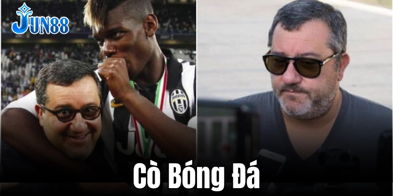 Cò bóng đá hoạt động theo nhiều hình thức khác nhau