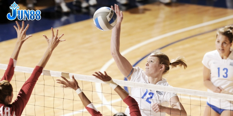 Các kiến thức cơ bản cần nắm khi tham gia cá cược bóng chuyền